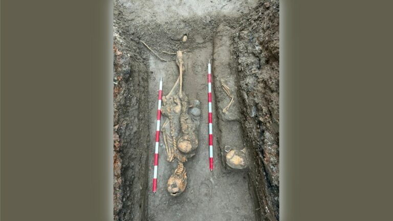 11bb5a9de04d5d1980ab608c2adfbdc8