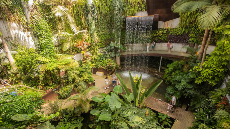 2502d154044f5c4ec9bc055ce24cc5b5