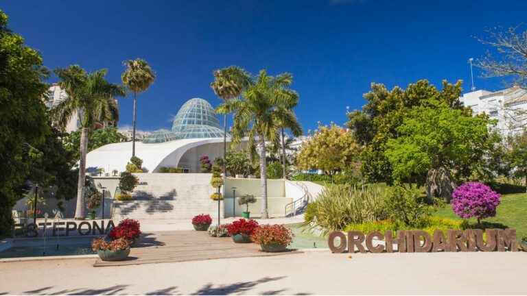 The Orchidarium in Estepona Attracts Over 500,000 Visitors in a Decade