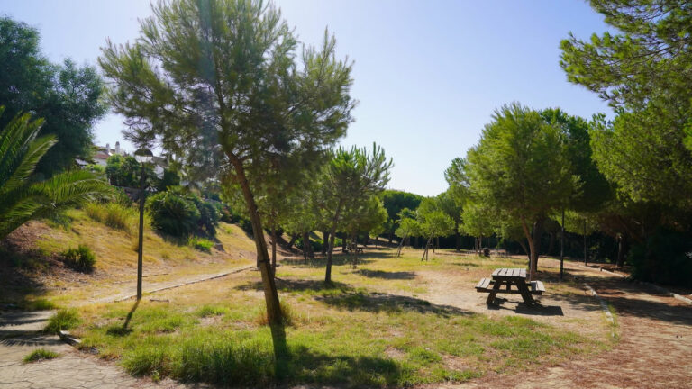 4de647267939b43119bd1f75a657974d