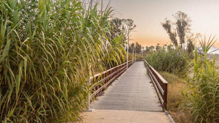 5afbf95b32e7db71018336cd492a1e8e