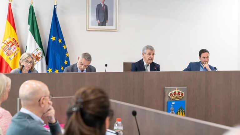 Approval of Municipal Plots for Building Affordable Housing in Estepona