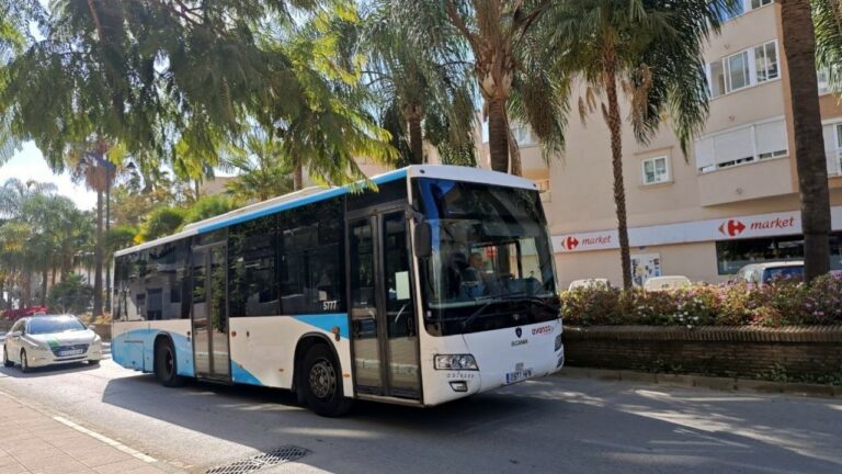 Estepona City Council improves urban furniture with new bus stop canopies