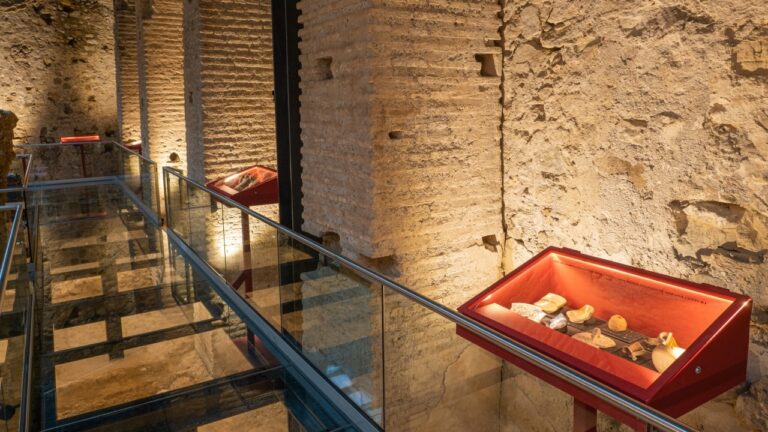 8372cdc438a261cf2734e904a5d8b1bd