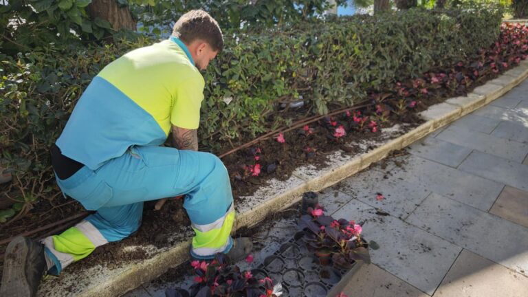 Estepona’s New Floral Campaign: Enhancing the City’s Image with Over 400,000 Plants