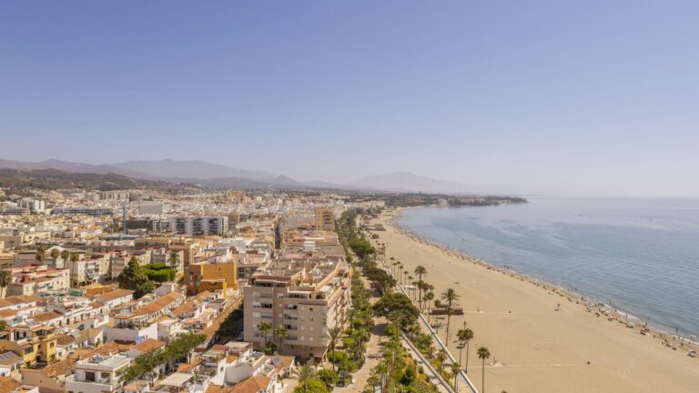 Estepona City Council offers contract for animal rescue and protection service to enhance coverage