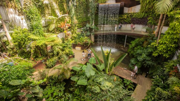 990909ad37d11bd82723487f93e41254