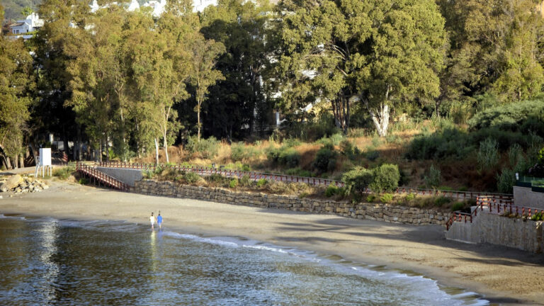 ab1d4a2caefc55e1a9a4b741bd151127