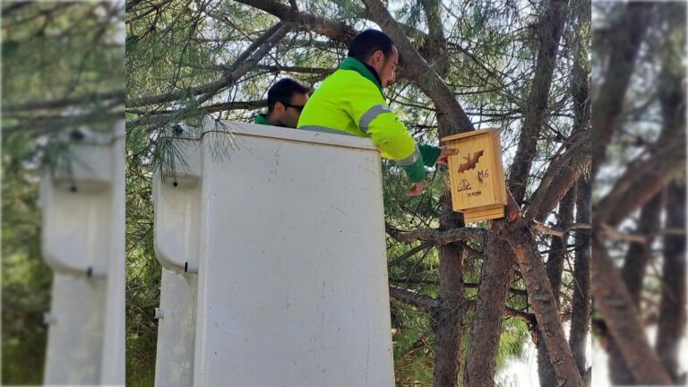 Urban Habitat Creation: Nesting Boxes Installed for Small Birds of Prey and Bats in Estepona Parks