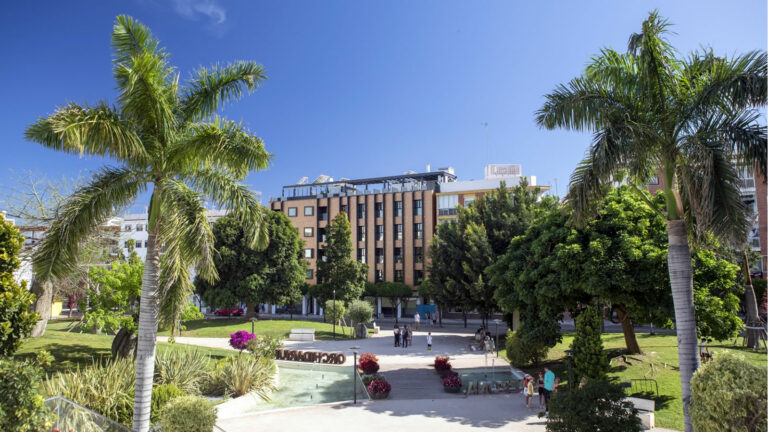 Comprehensive Renovation Project Planned for Streets and Squares near the Orquidarium