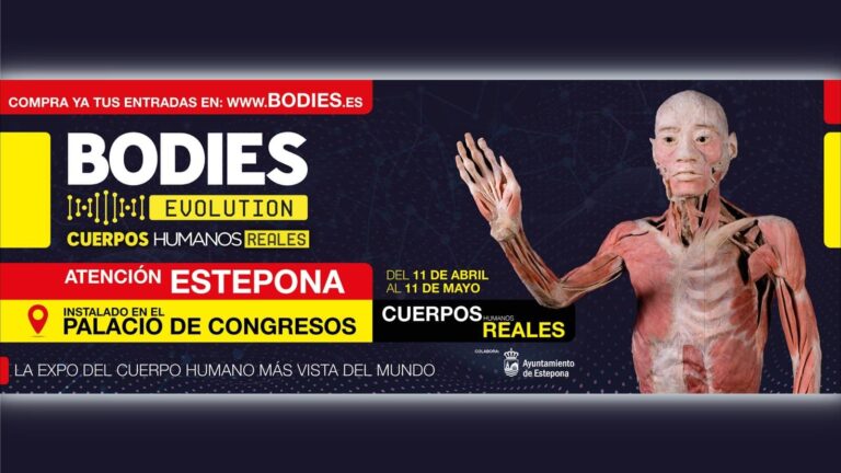 Educational exhibition ‘BODIES. Real human bodies’ at Estepona Exhibition Palace