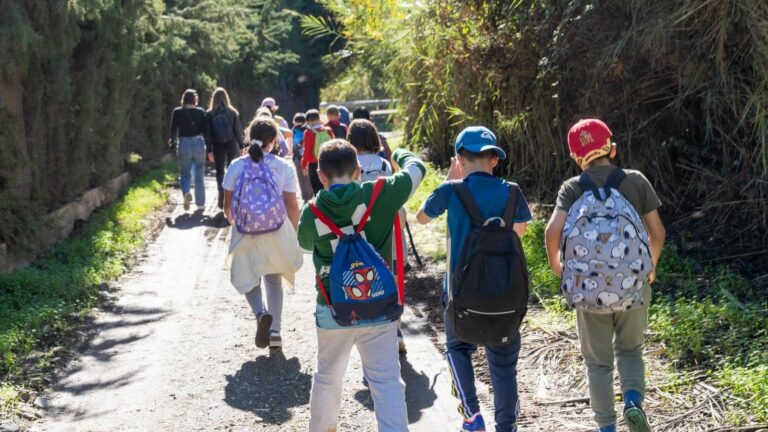 fe3ed63e6dd20fe7af02dda16dfc4617